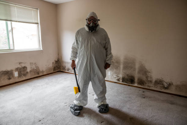 Biohazard Mold Removal in Lake Barcroft, VA